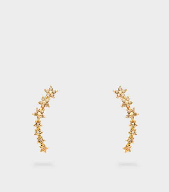 Orecchini NALI EMOR1496