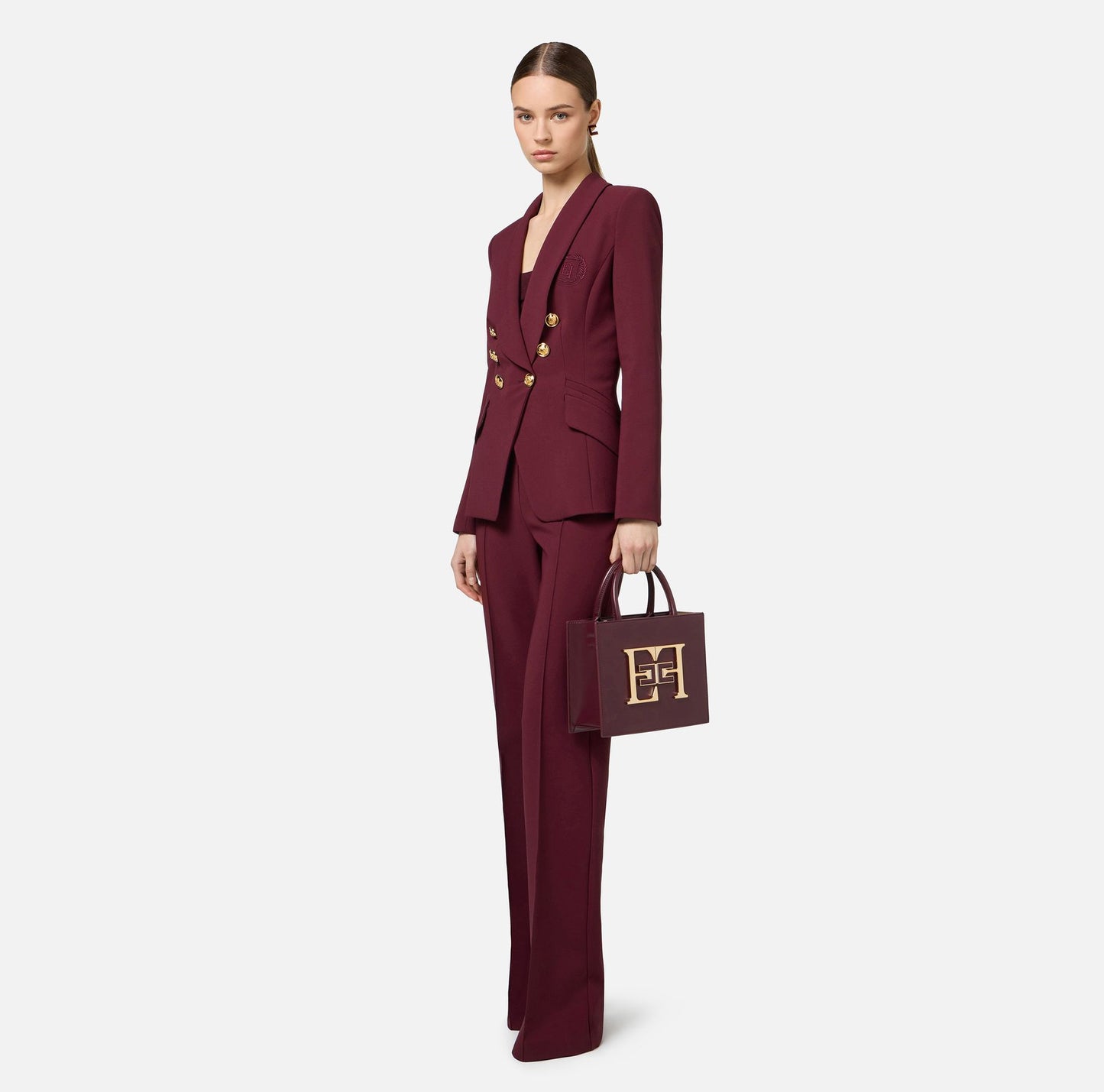 BS06A46E2-Accessori-borsa-ELISABETTA FRANCHI