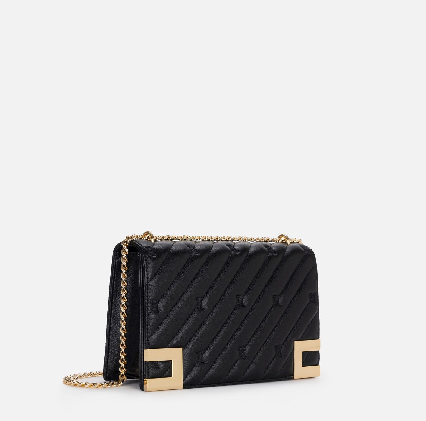 BS54A46E2-accessori-borsa-ELISABETTA FRANCHI
