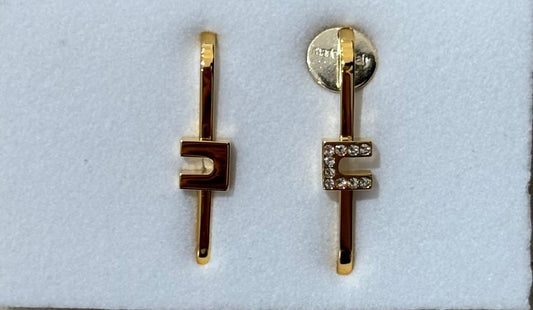 OR55M51E2-orecchini-Accessori-ELISABETTA FRANCHI