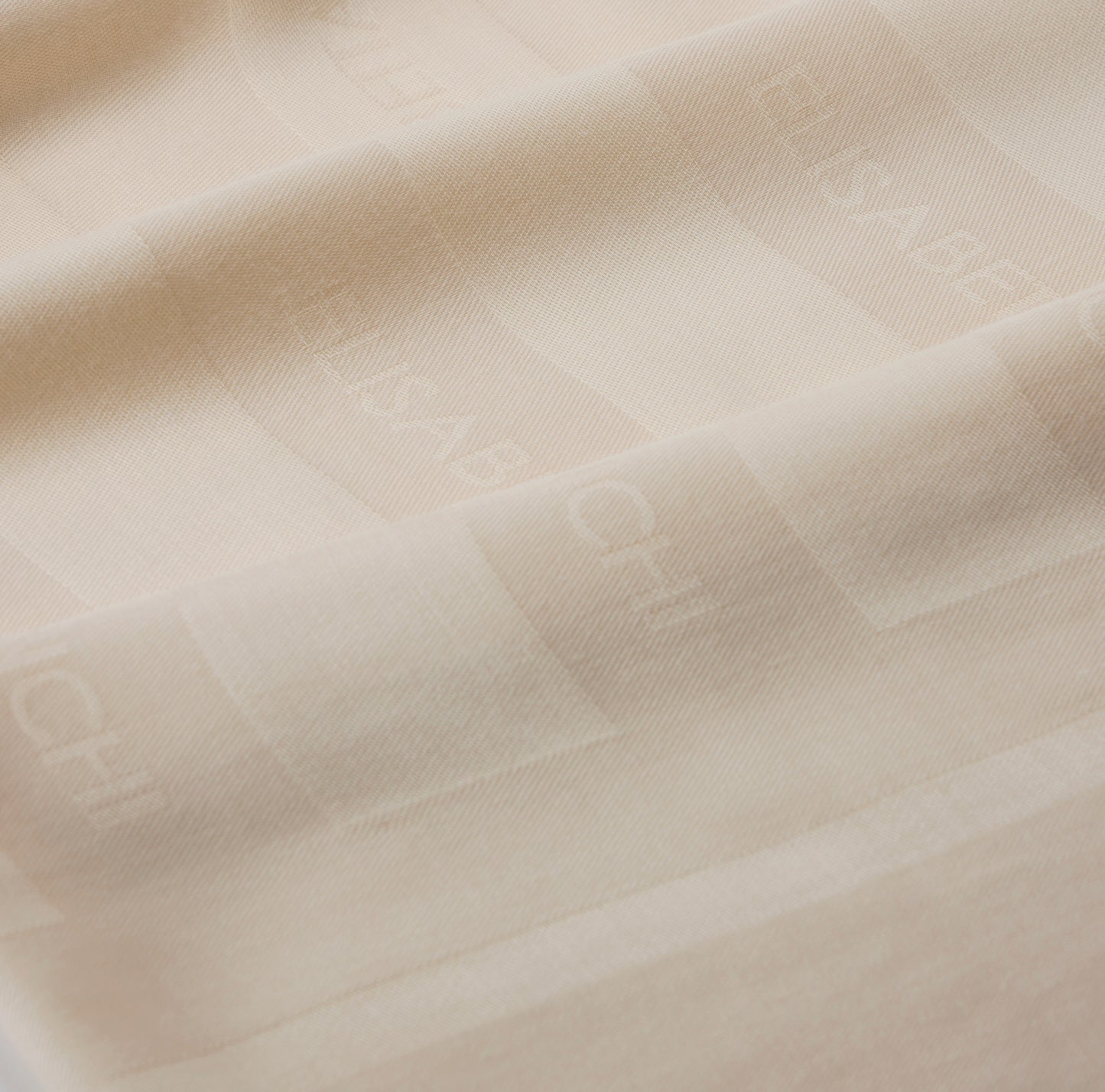 FOULARD QUADRATO IN VISCOSA ELISABETTA FRANCHI SC14F61E2 P/E 26